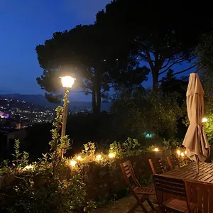 Monte Di Portofino , Santa Margherita Ligure Italia